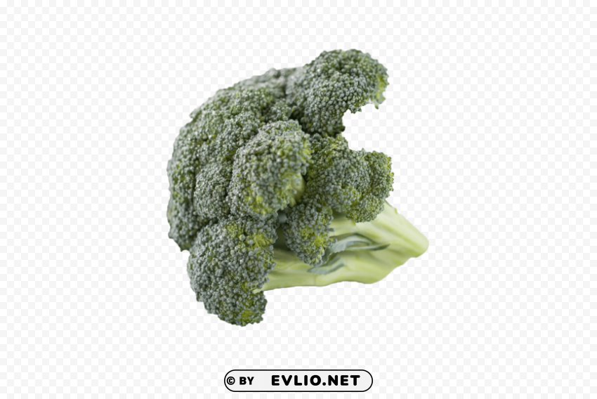 broccoli PNG with no background diverse variety