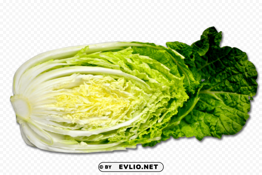 cabbage HighResolution PNG Isolated Artwork