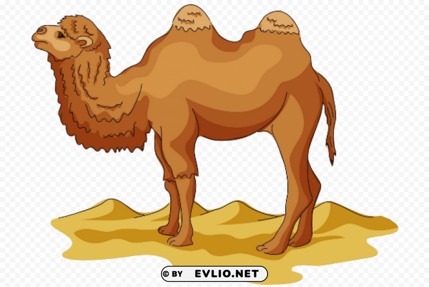 camel Isolated Item on Clear Background PNG
