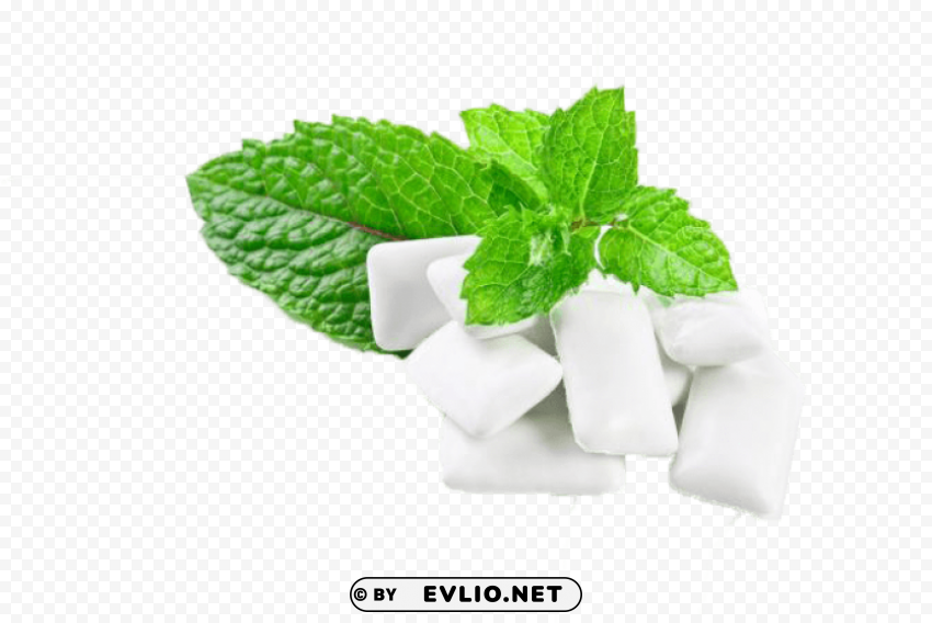chewing gum s Transparent PNG images complete package