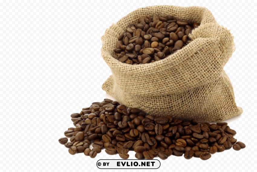 coffee beans Isolated Design on Clear Transparent PNG
