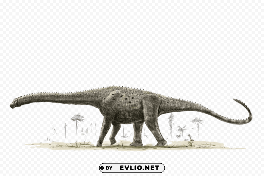 dinosaur s PNG transparent images for printing