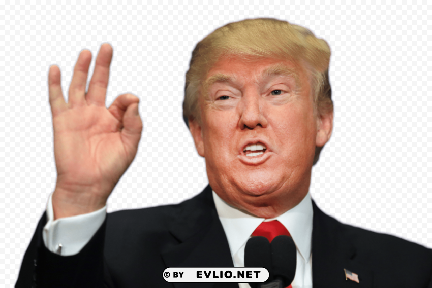 donald trump PNG files with no background assortment