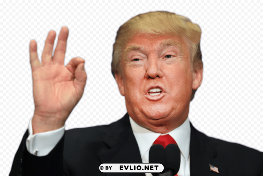 Donald Trump PNG Files With No Background Assortment