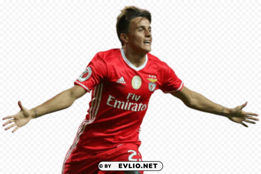 franco cervi PNG with no background for free