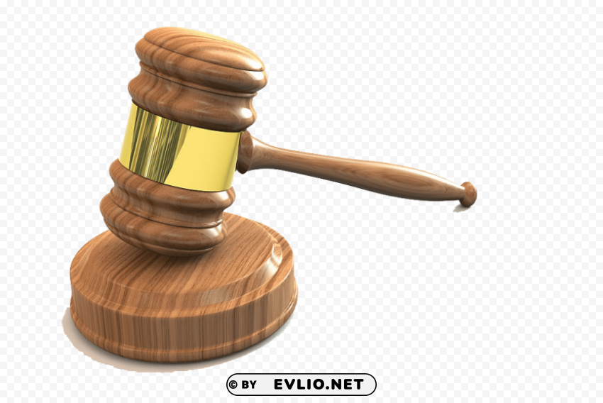 gavel Isolated Character in Transparent PNG Format