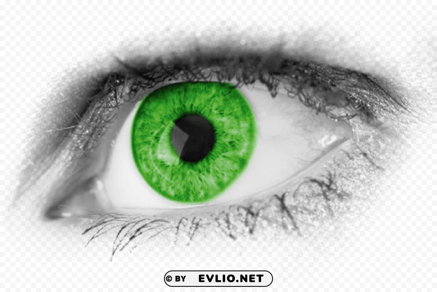 Green Eyes Isolated Design Element In Transparent PNG