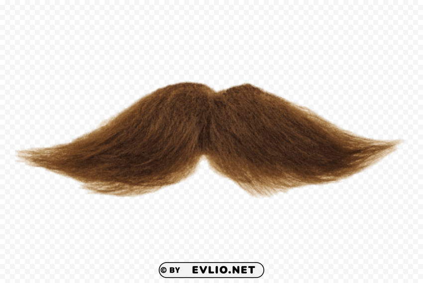 Transparent background PNG image of mustache brown Isolated Character on HighResolution PNG - Image ID 24724a64