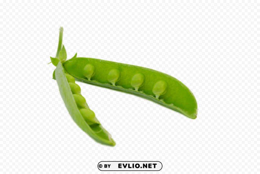 pea PNG Image with Isolated Element
