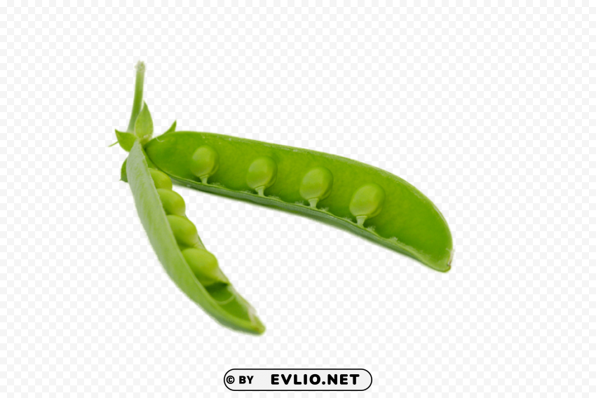 pea PNG Image with Isolated Element PNG images with transparent backgrounds - Image ID ffea9cd9