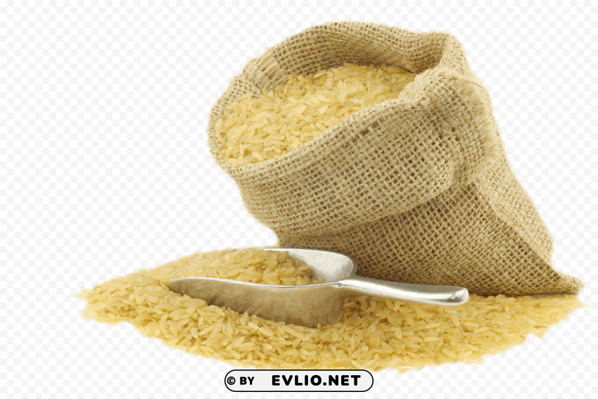 rice PNG with no background free download