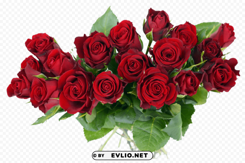 rose bouquet Isolated Artwork on Transparent Background