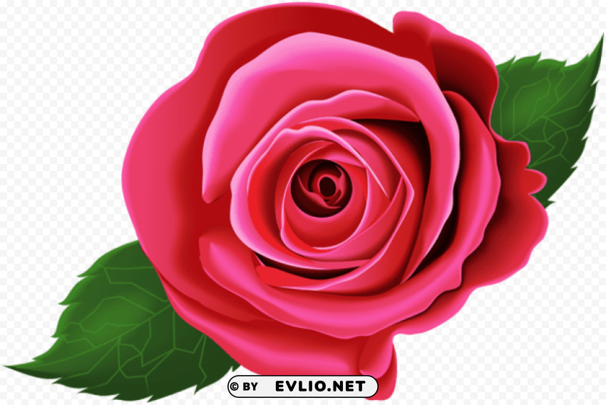 Rose Pink With Leaves PNG Files With Transparent Elements Wide Collection