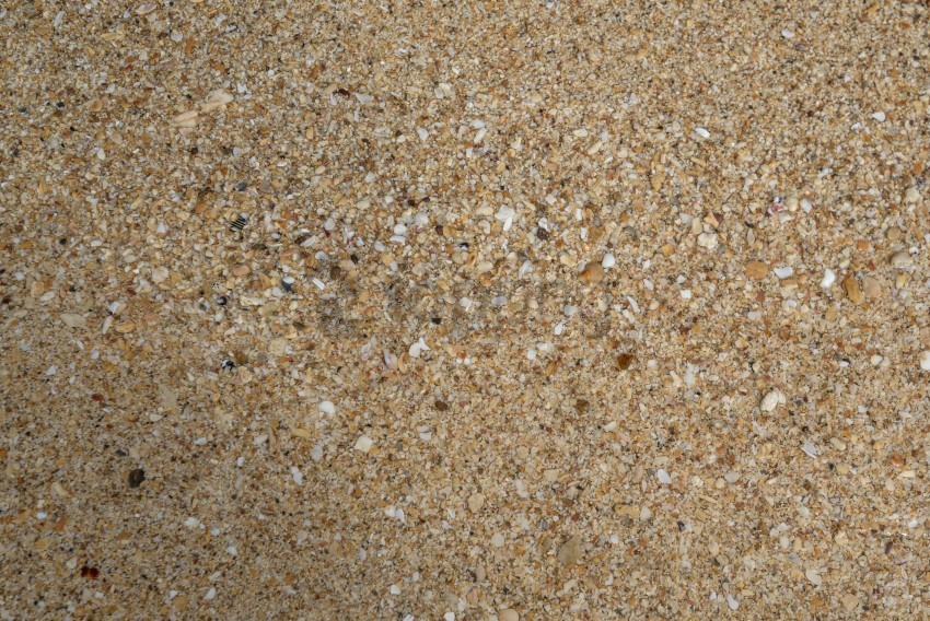 sand textured background Transparent PNG images for graphic design