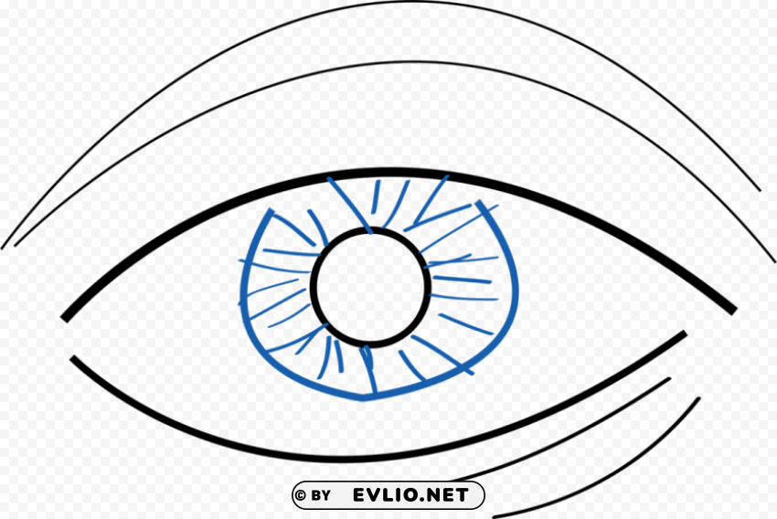simple eye drawing Isolated Graphic on Clear Background PNG