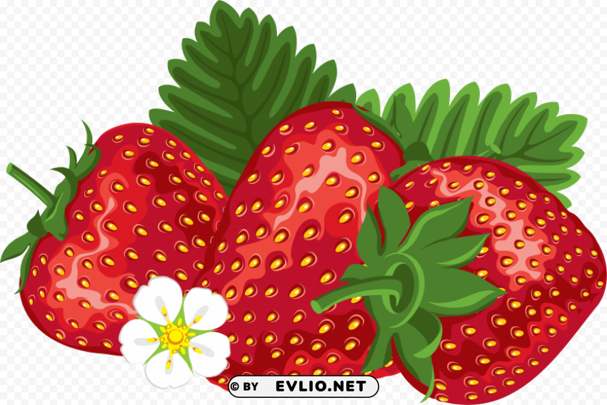 strawberry Clear PNG pictures package