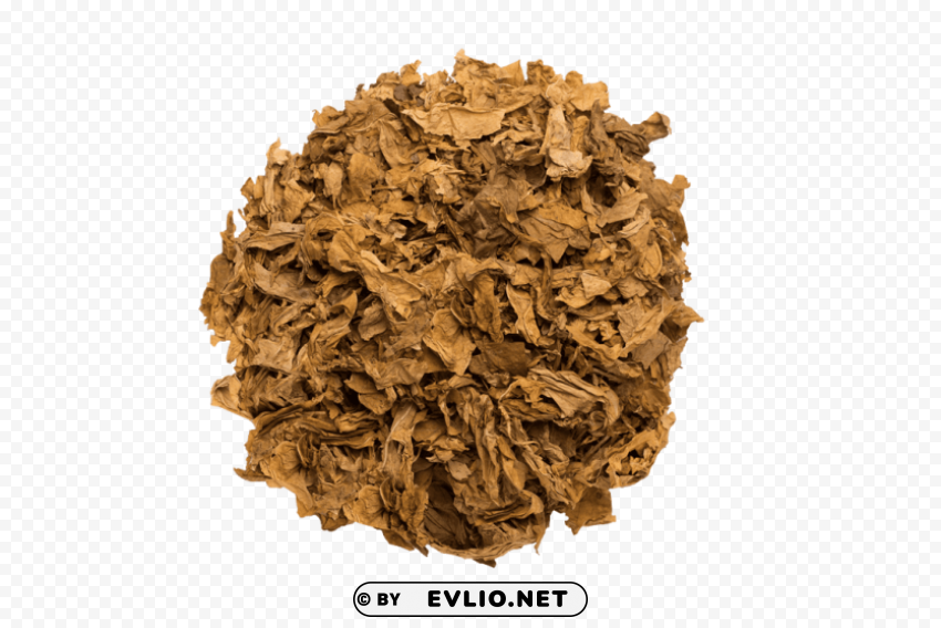 tobacco Isolated Character with Clear Background PNG