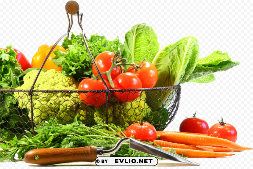 vegetable Transparent Background PNG Isolated Item