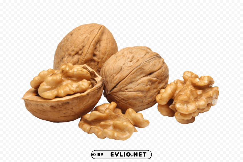 walnut Isolated Character in Transparent PNG