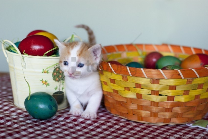 basket easter eggs kitten wallpaper PNG images with clear alpha layer