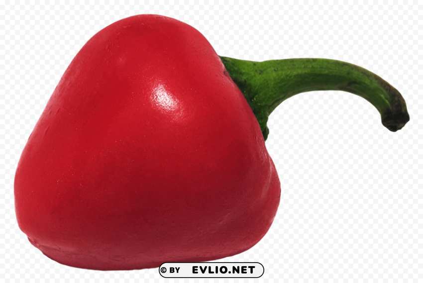 chili pepper Clear Background PNG Isolated Illustration