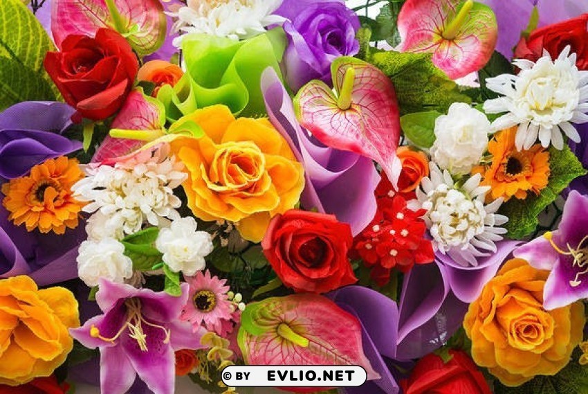colorful floral Isolated Design Element in PNG Format