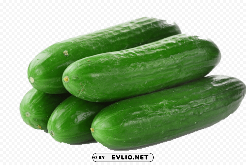 cucumbers file PNG Graphic Isolated on Clear Background