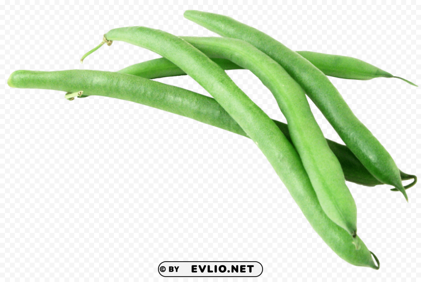 green beans PNG Image with Transparent Isolated Graphic Element
