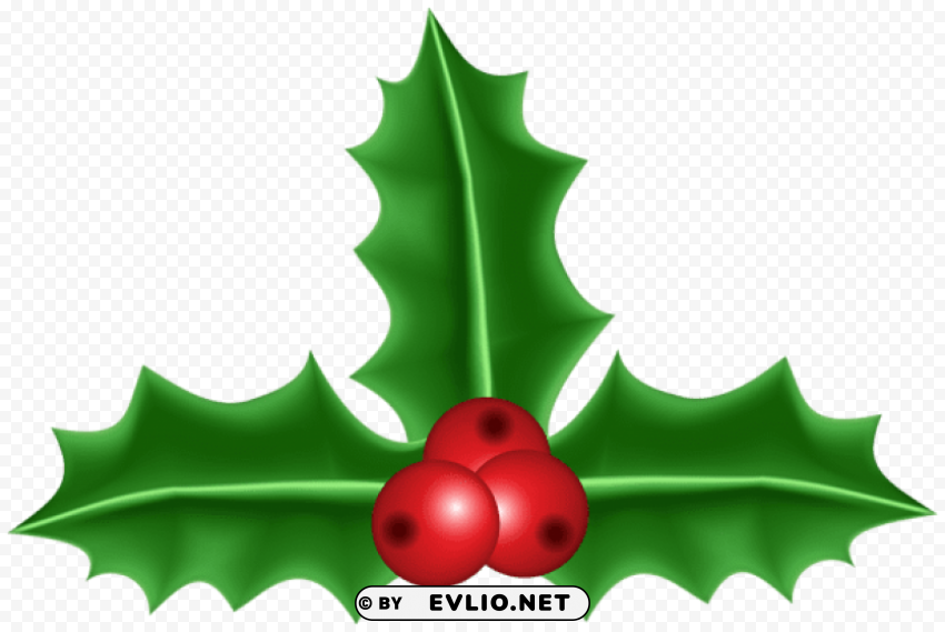 holly mistletoe Free PNG images with transparency collection