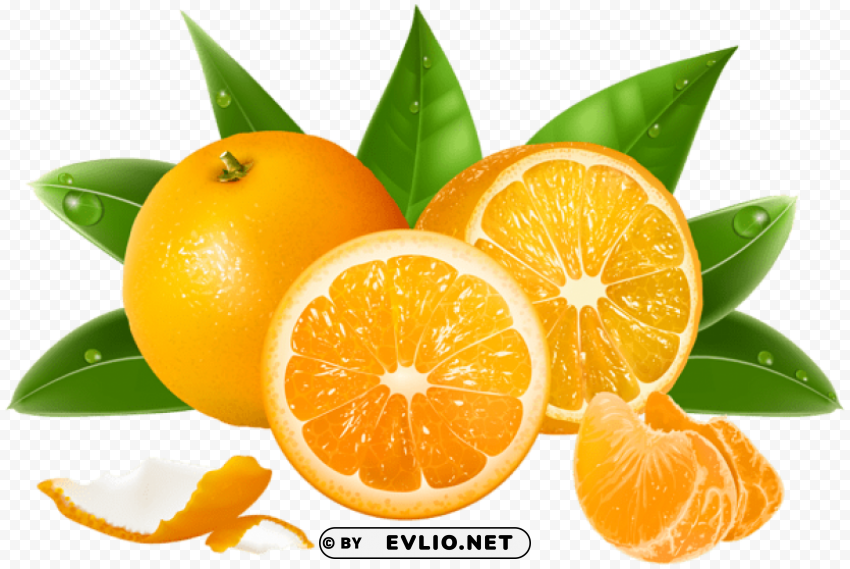 oranges PNG images without watermarks