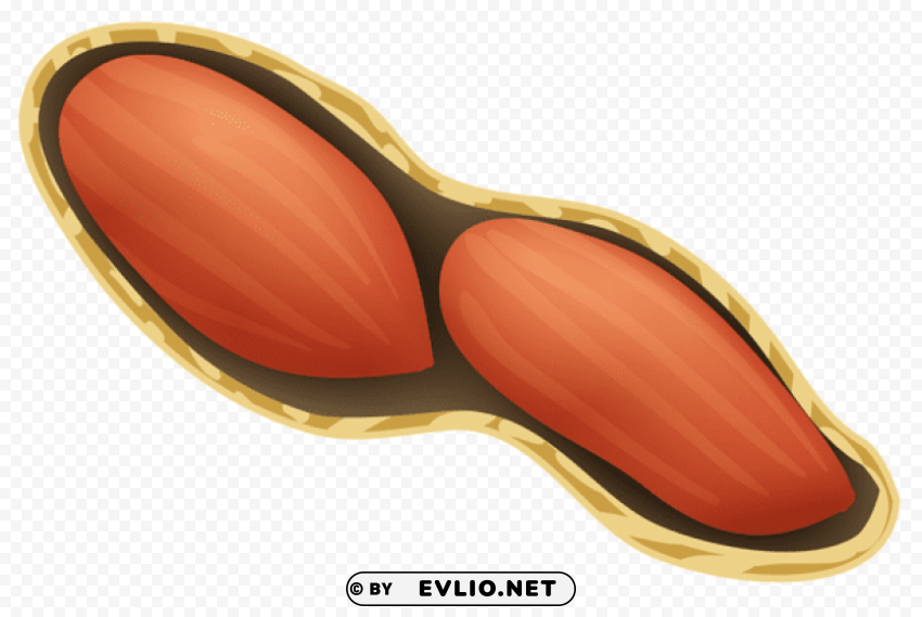 peanut PNG picture