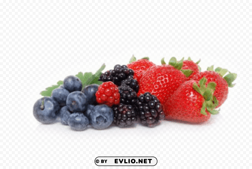 berries Isolated Design Element in HighQuality Transparent PNG