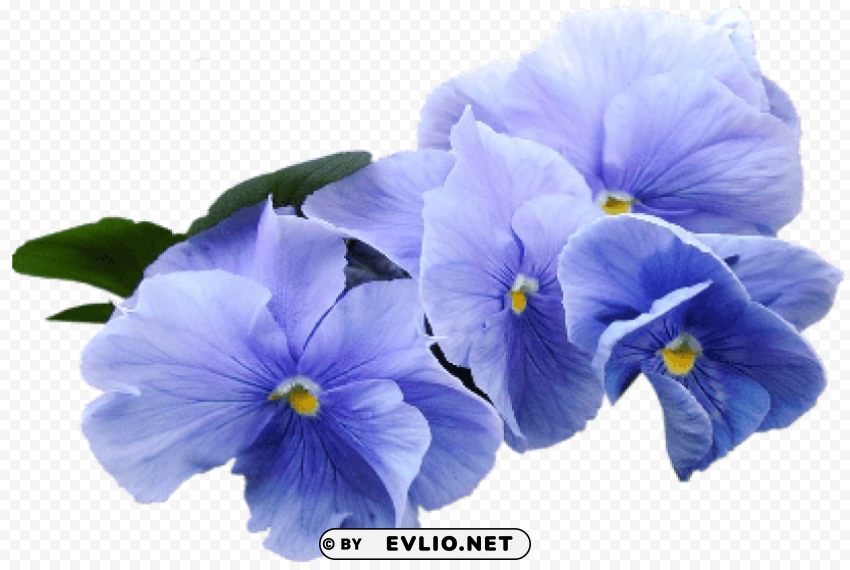 PNG image of blue violet flower PNG images with no background assortment with a clear background - Image ID 58ac7c36