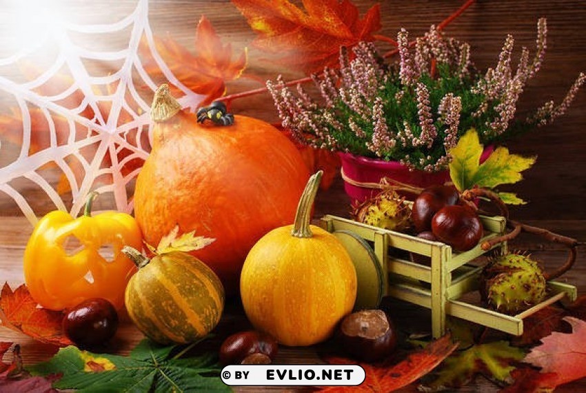 cute autumn Isolated Subject on HighQuality PNG
