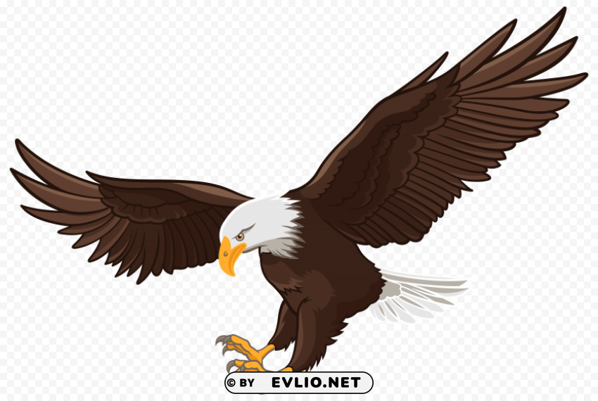 eagle Isolated Artwork on Clear Transparent PNG