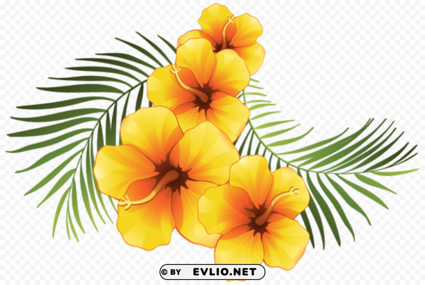 exotic floral decoration Transparent PNG picture