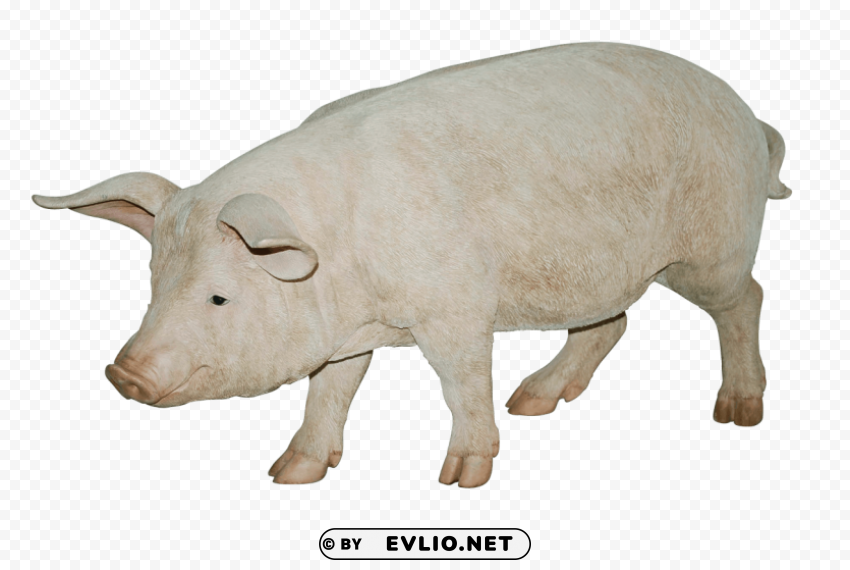 pink pig PNG Image with Clear Background Isolation