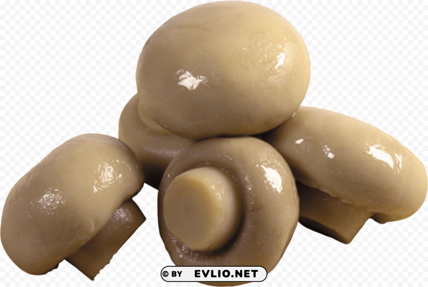 PNG image of shrooms PNG Graphic with Isolated Clarity with a clear background - Image ID 2d91d45d