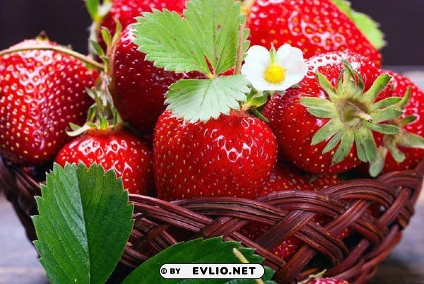 Strawberry Basket PNG Images For Merchandise