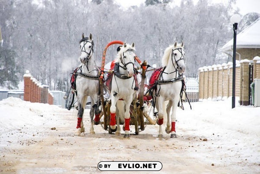 Winterwith Horses PNG Image Isolated With Clear Background