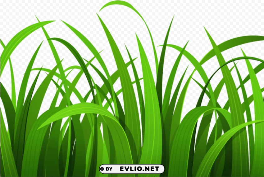 grass and flowers HighResolution PNG Isolated Illustration