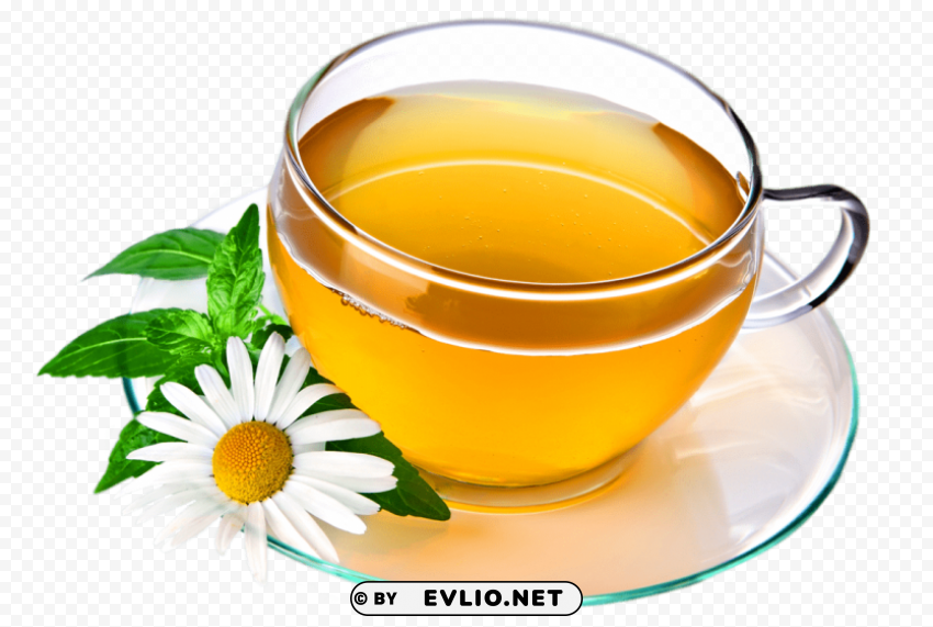 green tea PNG Graphic with Clear Background Isolation PNG images with transparent backgrounds - Image ID 358a3b51