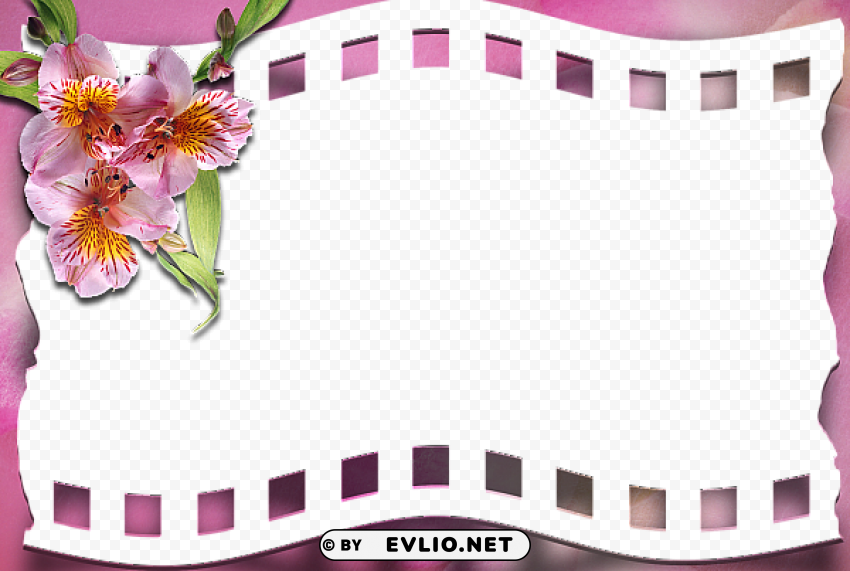 pink frame with pink flower PNG images with transparent elements pack