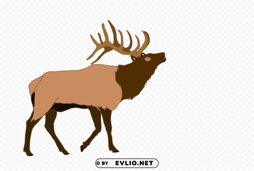 elk PNG no watermark