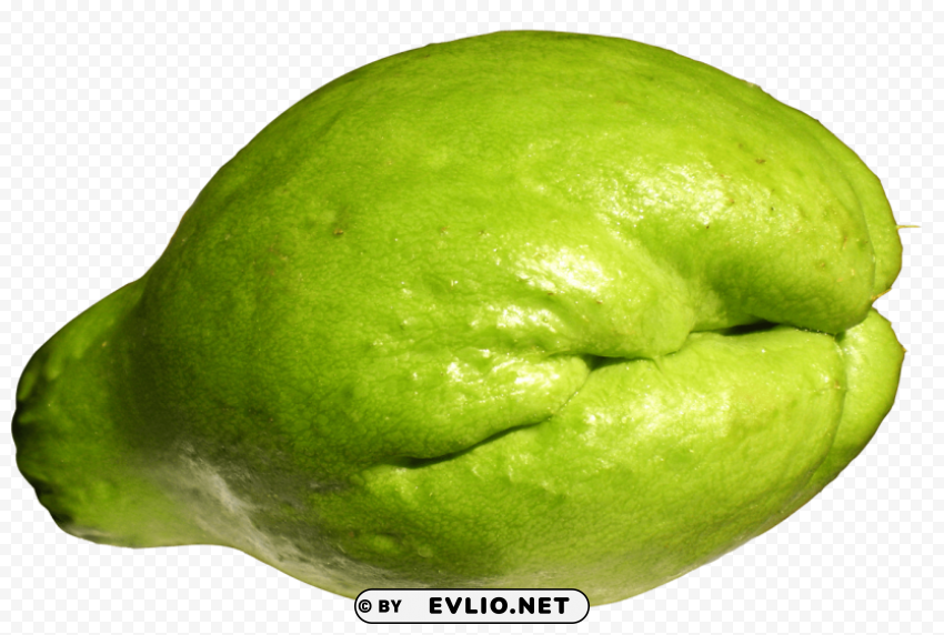 fresh chayote PNG Image with Clear Background Isolation