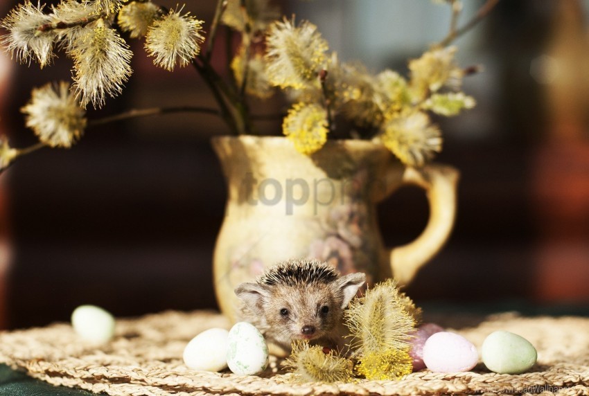 Hedgehog Quail Eggs Vase Willow Wallpaper PNG Transparent Photos For Design