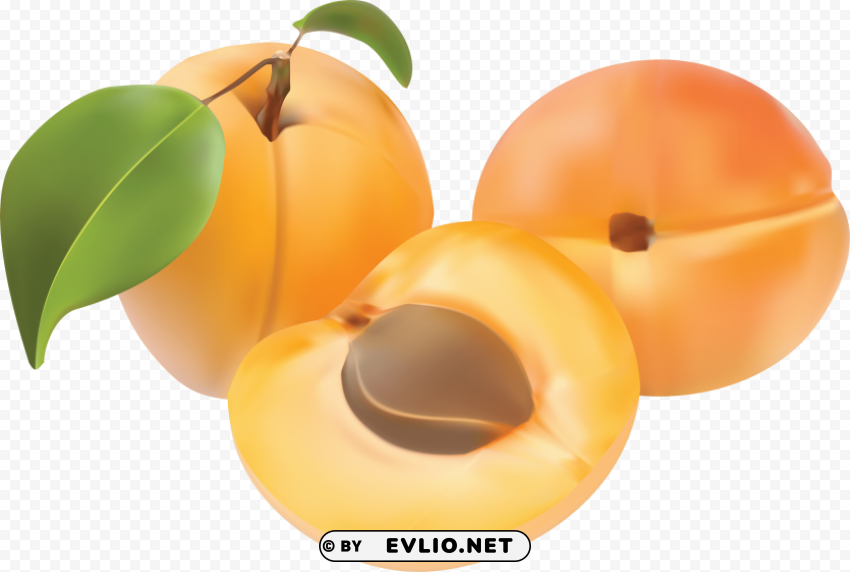 peach HighResolution PNG Isolated Illustration