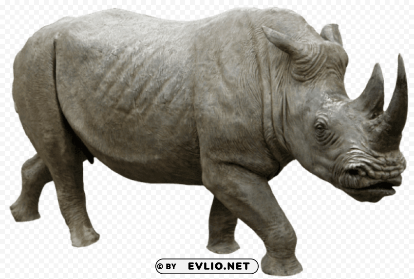 rhino running PNG objects png images background - Image ID c069bf7f