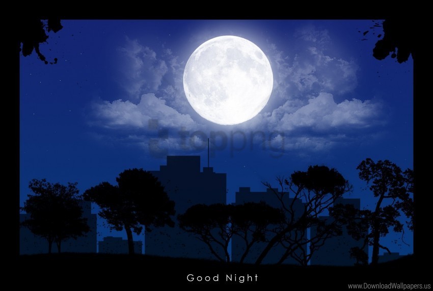 buildings city night shadows trees wallpaper Transparent background PNG stockpile assortment