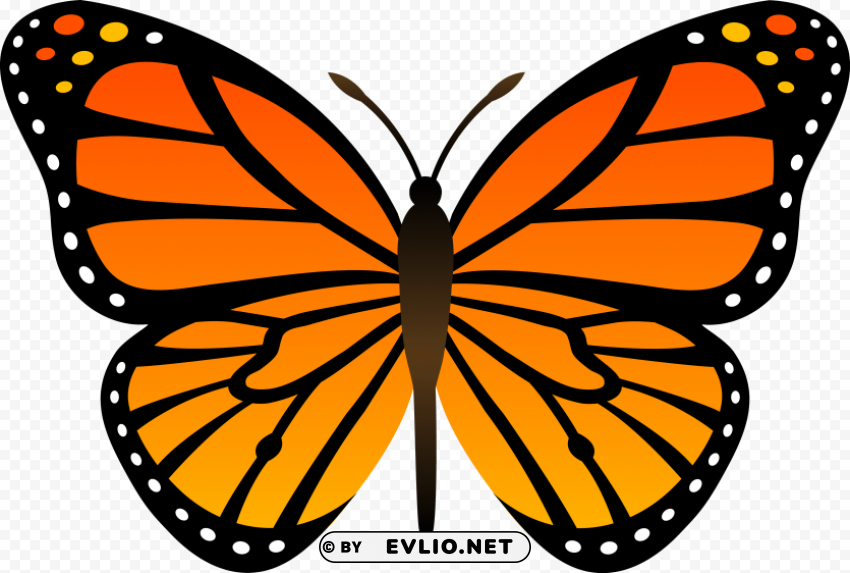 butterfly High-resolution PNG images with transparency wide set